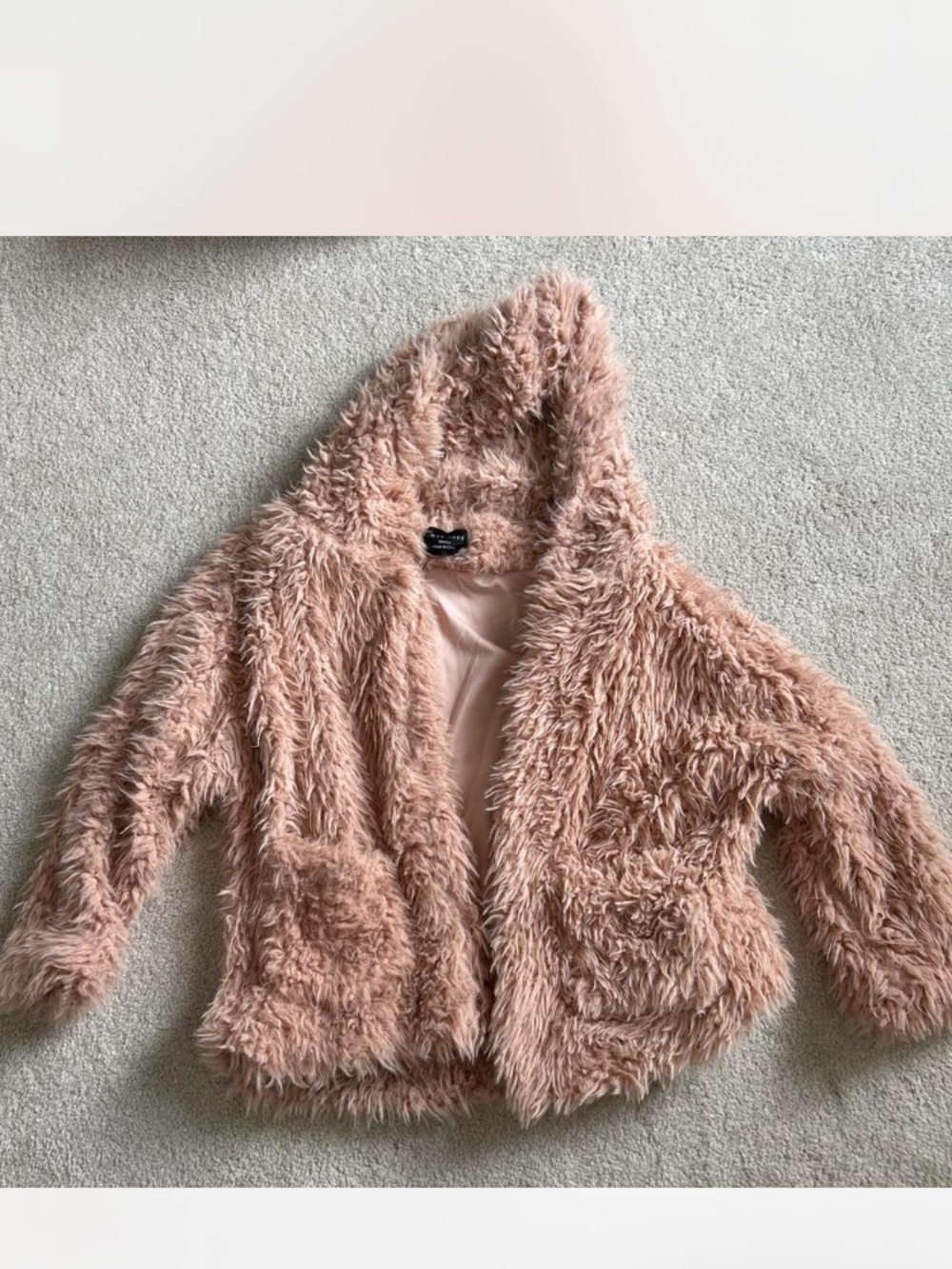 Plush Hooded Faux-Fur Jacket - Blush Pink Size Small